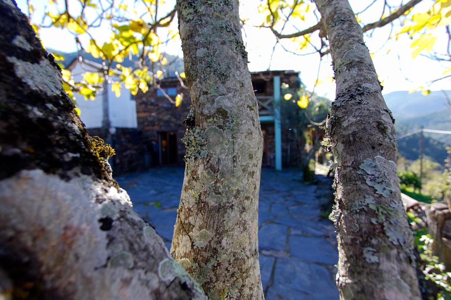 Casa Da Figueira - Rio Paiva Villa Arouca Eksteriør billede