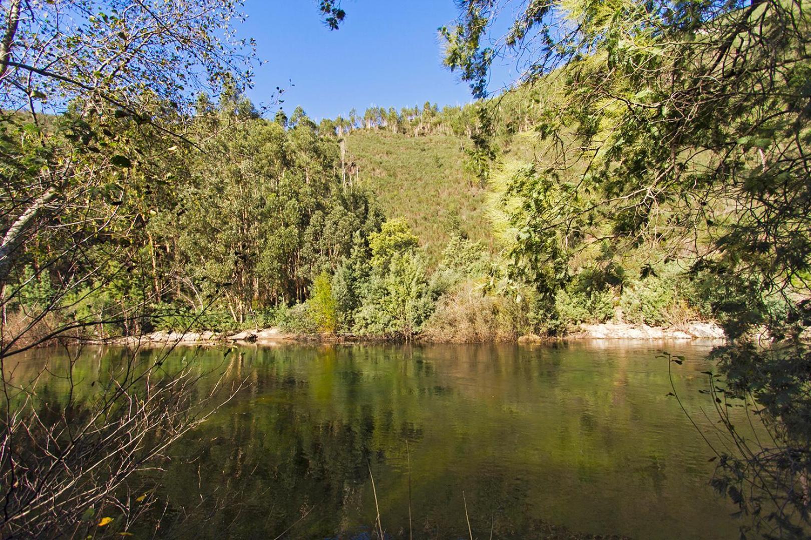 Casa Da Figueira - Rio Paiva Villa Arouca Eksteriør billede